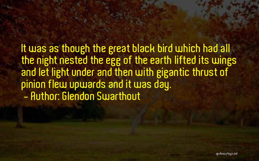 Black Wings Quotes By Glendon Swarthout