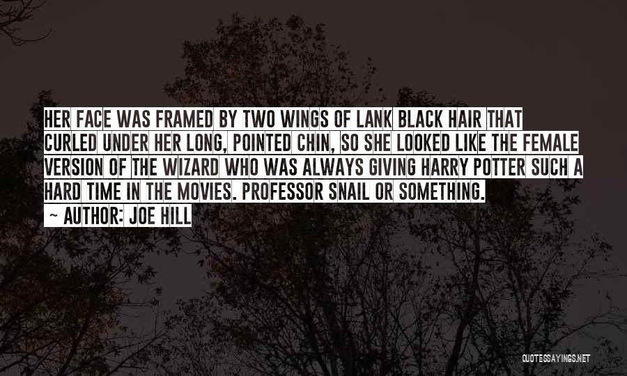 Black Wings Quotes By Joe Hill