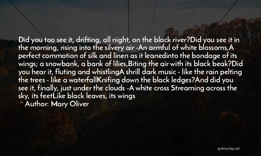 Black Wings Quotes By Mary Oliver