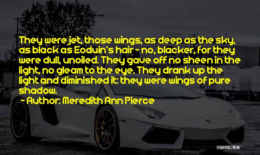 Black Wings Quotes By Meredith Ann Pierce