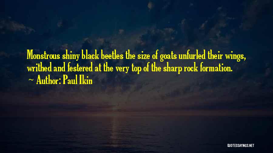 Black Wings Quotes By Paul Ikin