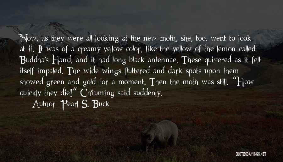 Black Wings Quotes By Pearl S. Buck