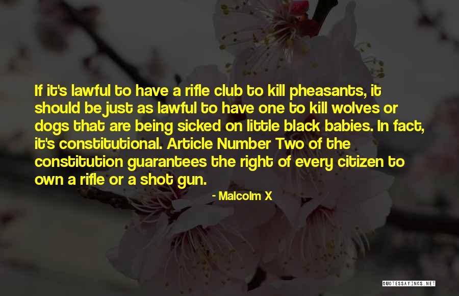 Black Wolves Quotes By Malcolm X