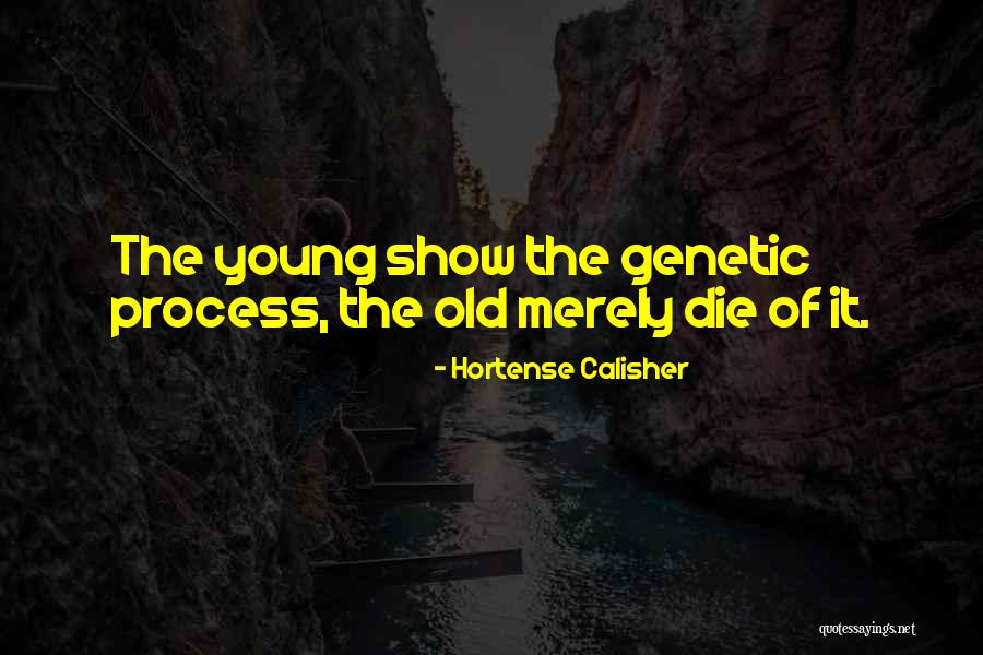 Blackall Australia Quotes By Hortense Calisher Blackall Australia Quotes By Hortense Calisher