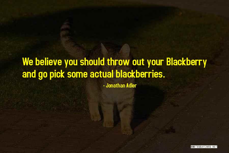 Blackberries Quotes By Jonathan Adler Blackberries Quotes By Jonathan Adler
