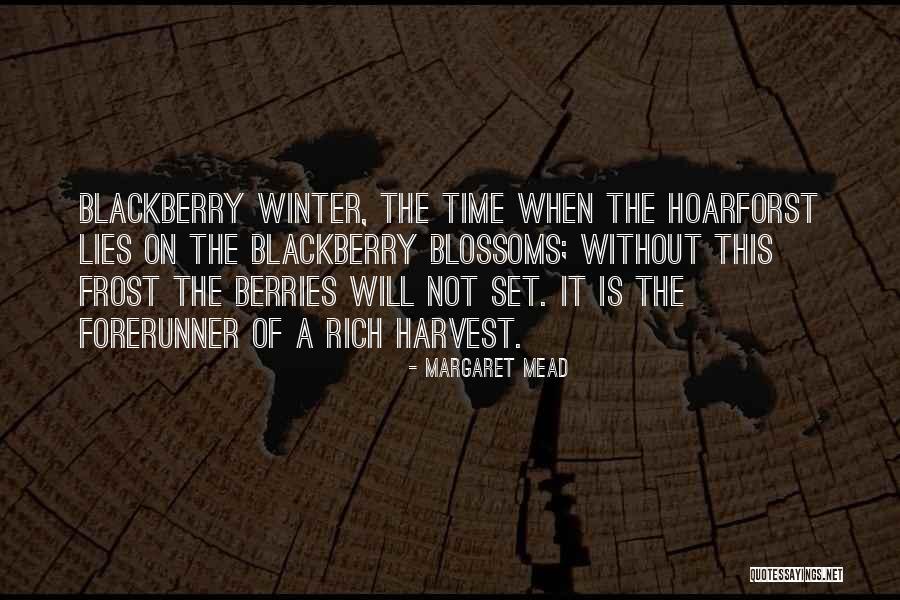 Blackberry Winter Quotes By Margaret Mead