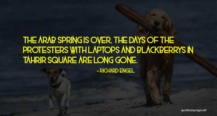 Blackberrys Quotes By Richard Engel