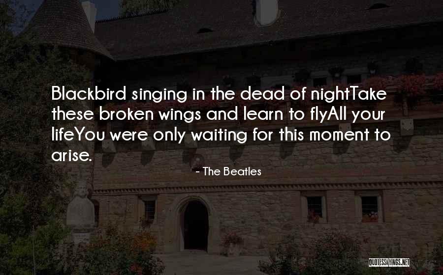 Blackbird Beatles Quotes By The Beatles Blackbird Beatles Quotes By The Beatles