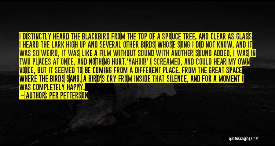 Blackbird Quotes By Per Petterson