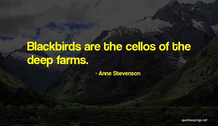 Blackbirds Quotes By Anne Stevenson Blackbirds Quotes By Anne Stevenson
