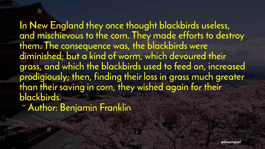 Blackbirds Quotes By Benjamin Franklin