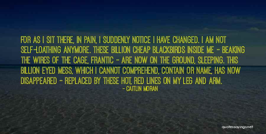 Blackbirds Quotes By Caitlin Moran Blackbirds Quotes By Caitlin Moran