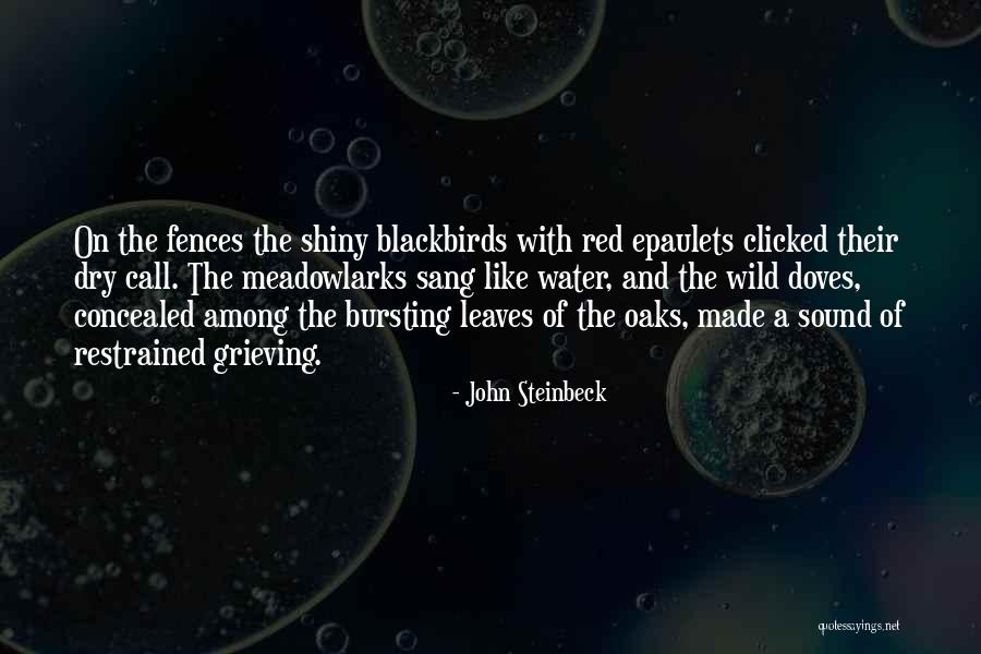 Blackbirds Quotes By John Steinbeck Blackbirds Quotes By John Steinbeck