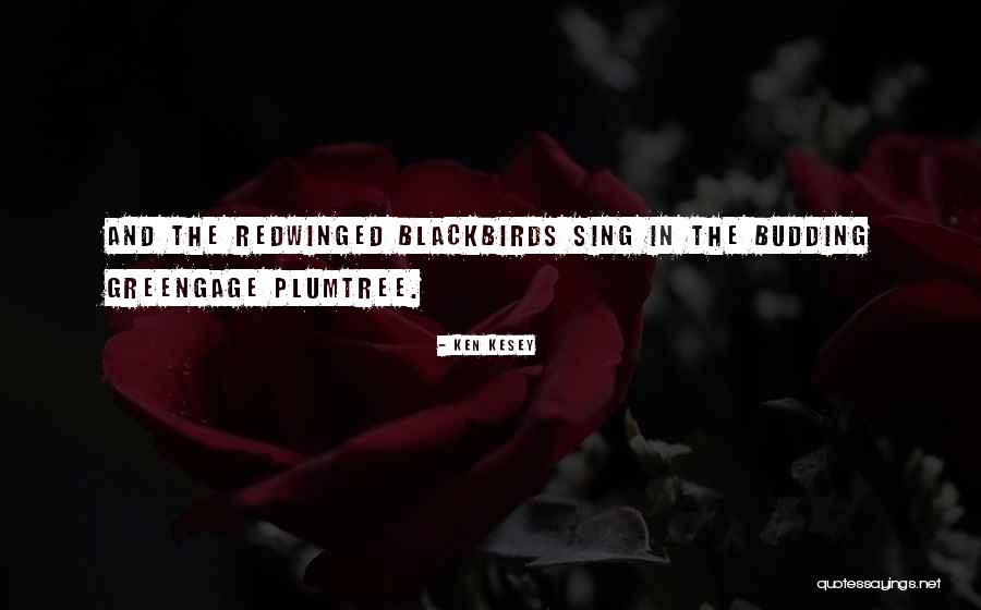Blackbirds Quotes By Ken Kesey