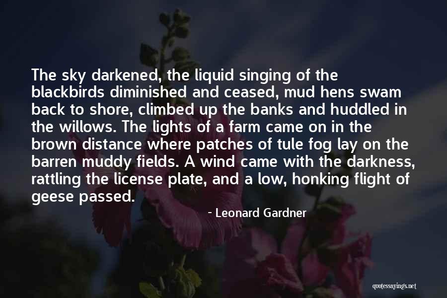 Blackbirds Quotes By Leonard Gardner Blackbirds Quotes By Leonard Gardner