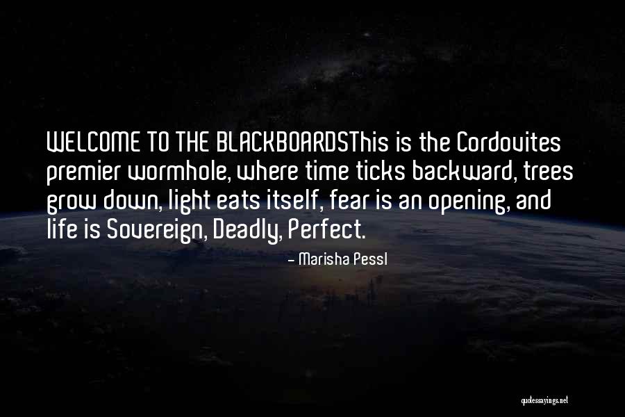 Blackboards Quotes By Marisha Pessl Blackboards Quotes By Marisha Pessl