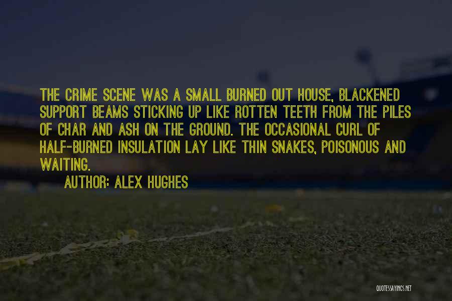 Blackened Quotes By Alex Hughes