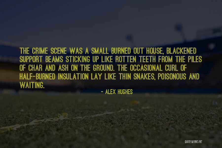 Blackened Quotes By Alex Hughes