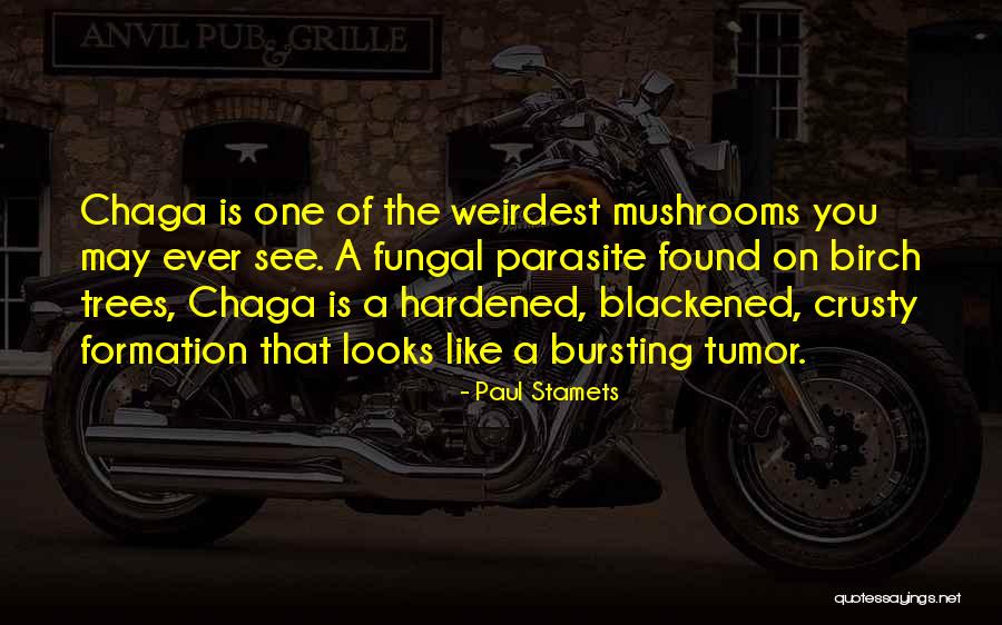 Blackened Quotes By Paul Stamets