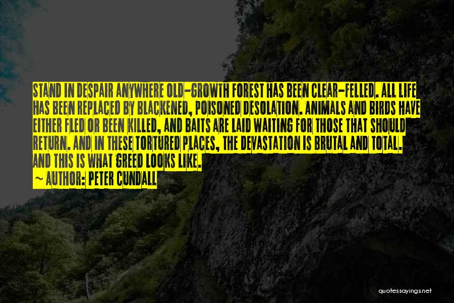 Blackened Quotes By Peter Cundall