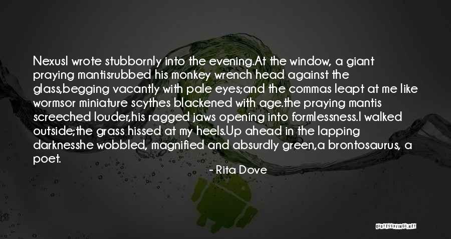 Blackened Quotes By Rita Dove Blackened Quotes By Rita Dove