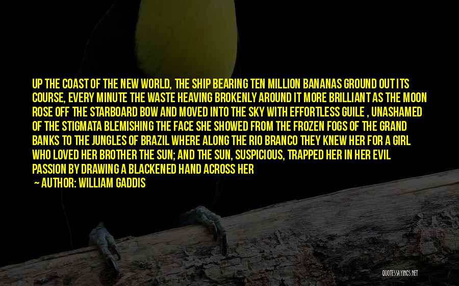 Blackened Quotes By William Gaddis