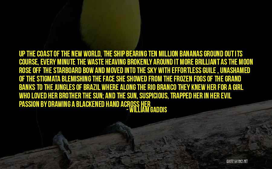 Blackened Quotes By William Gaddis