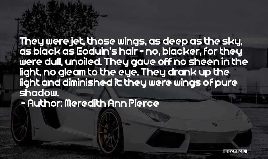Blacker Than Black Quotes By Meredith Ann Pierce