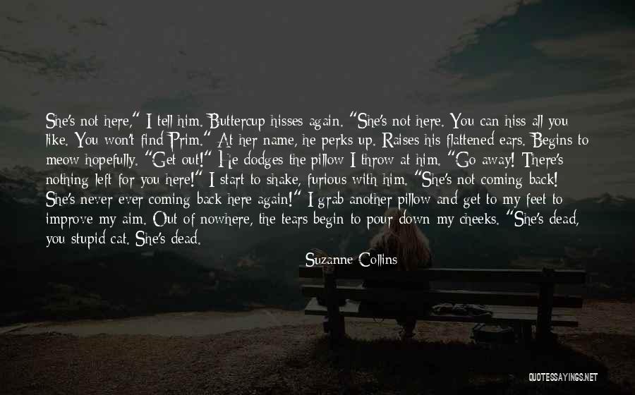 Blackfeet Nation Quotes By Suzanne Collins Blackfeet Nation Quotes By Suzanne Collins