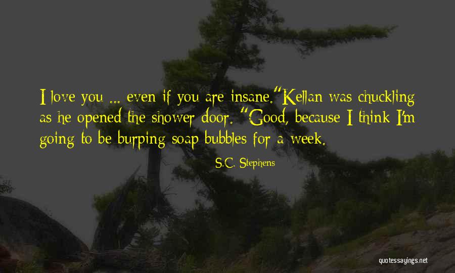 Blackfly Investments Quotes By S.C. Stephens Blackfly Investments Quotes By S.C. Stephens