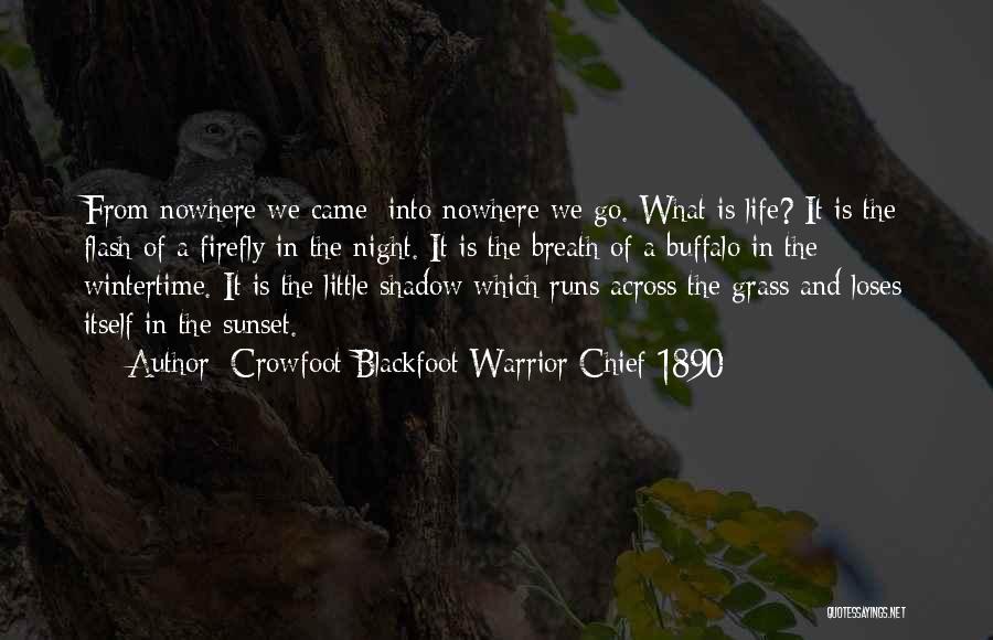 Blackfoot Chief Quotes By Crowfoot Blackfoot Warrior Chief 1890