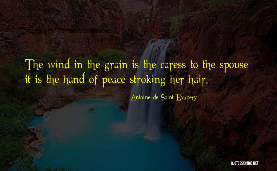 Blackledge Cc Quotes By Antoine De Saint-Exupery Blackledge Cc Quotes By Antoine De Saint-Exupery