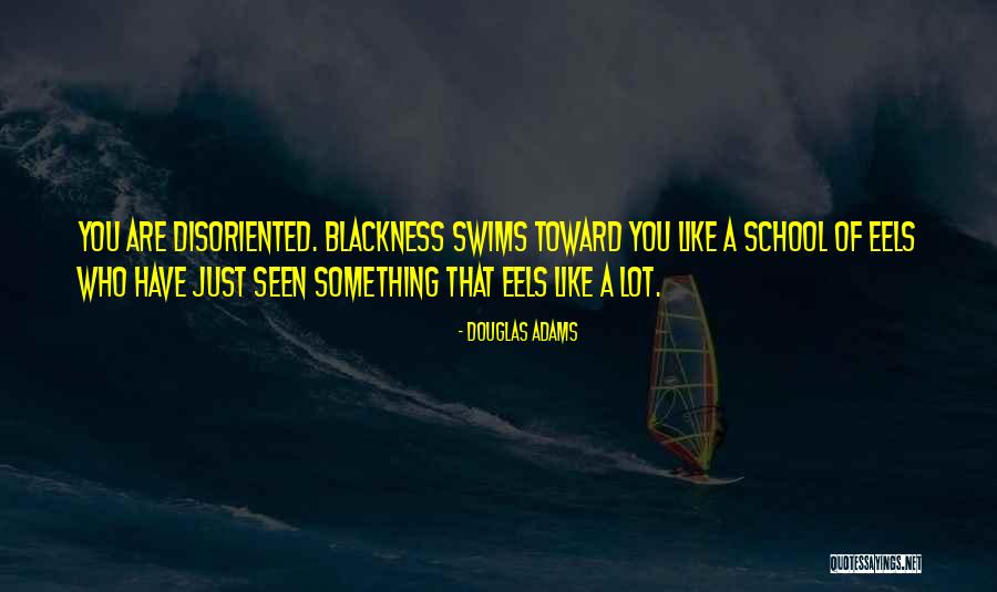 Blackness Quotes By Douglas Adams