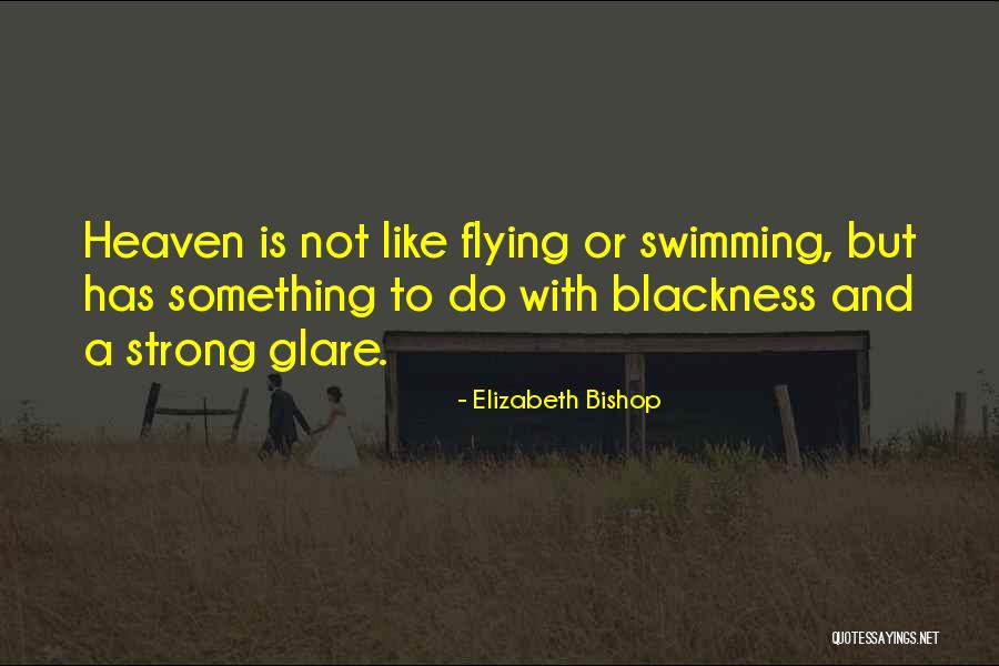 Blackness Quotes By Elizabeth Bishop