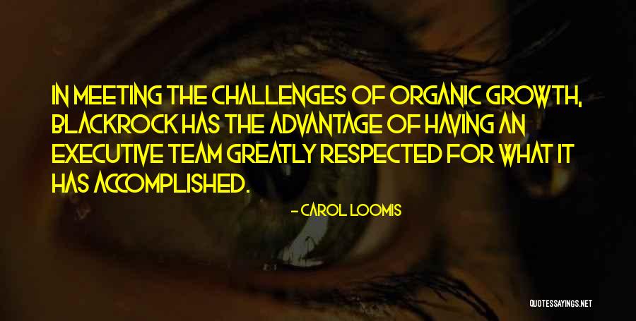 Blackrock Quotes By Carol Loomis Blackrock Quotes By Carol Loomis