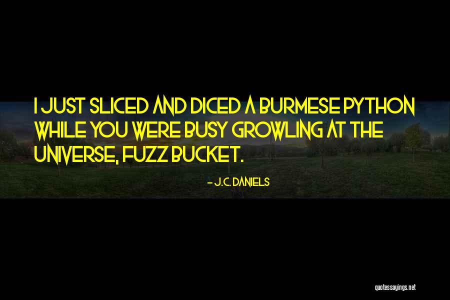 Blackrock Stock Quotes By J.C. Daniels Blackrock Stock Quotes By J.C. Daniels
