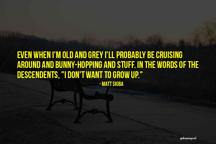 Blackstones Grill Quotes By Matt Skiba Blackstones Grill Quotes By Matt Skiba