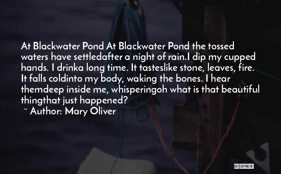 Blackwater Quotes By Mary Oliver