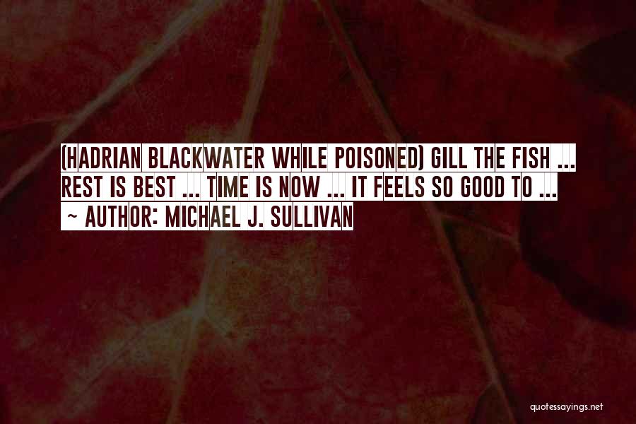 Blackwater Quotes By Michael J. Sullivan