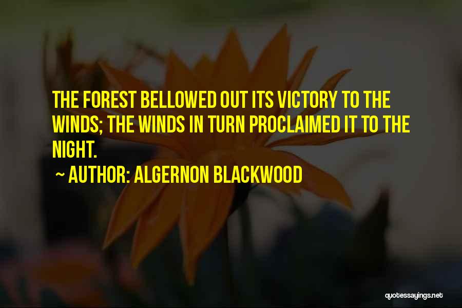 Blackwood Algernon Quotes By Algernon Blackwood