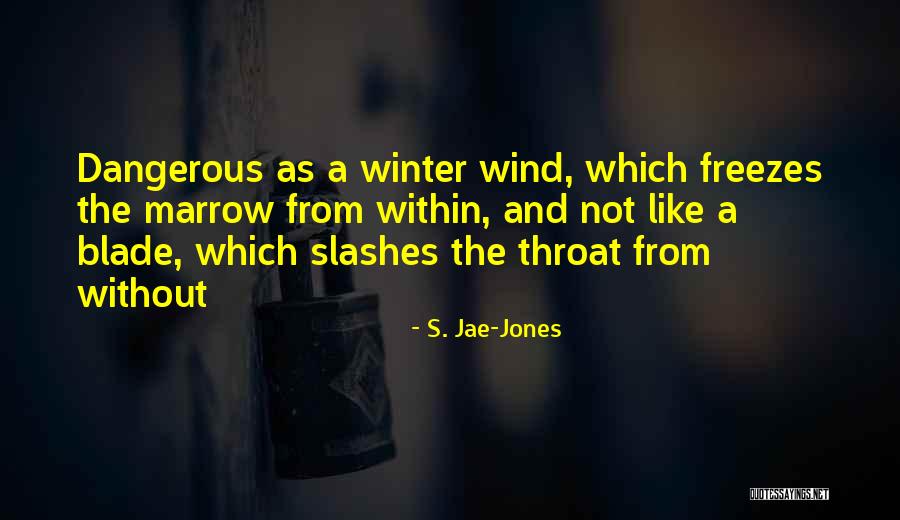 Blade 2 Quotes By S. Jae-Jones Blade 2 Quotes By S. Jae-Jones