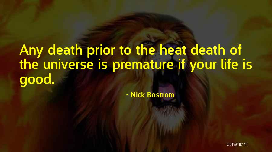 Blaine Anderson Inspirational Quotes By Nick Bostrom Blaine Anderson Inspirational Quotes By Nick Bostrom