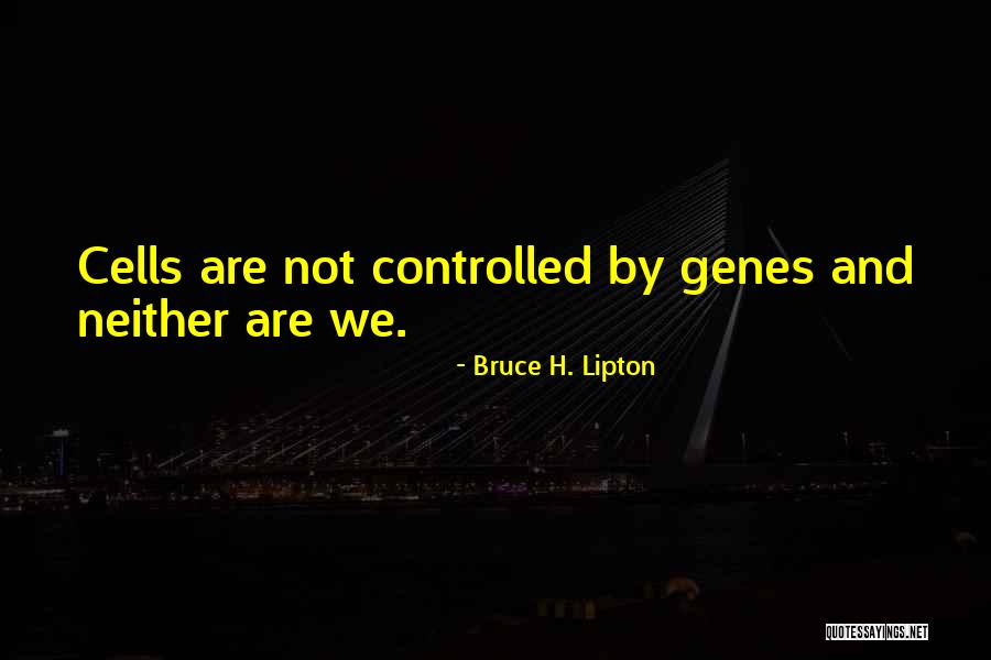 Blainey Maguire Quotes By Bruce H. Lipton Blainey Maguire Quotes By Bruce H. Lipton