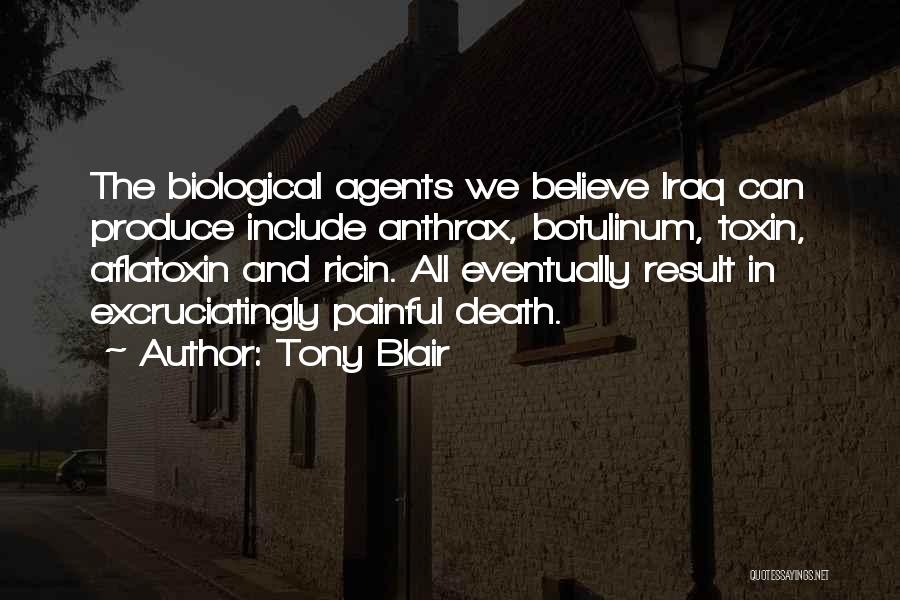 Blair Iraq Quotes By Tony Blair