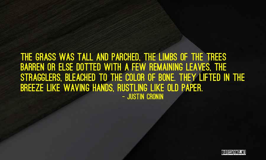 Blair Waldorf Bulimia Quotes By Justin Cronin Blair Waldorf Bulimia Quotes By Justin Cronin