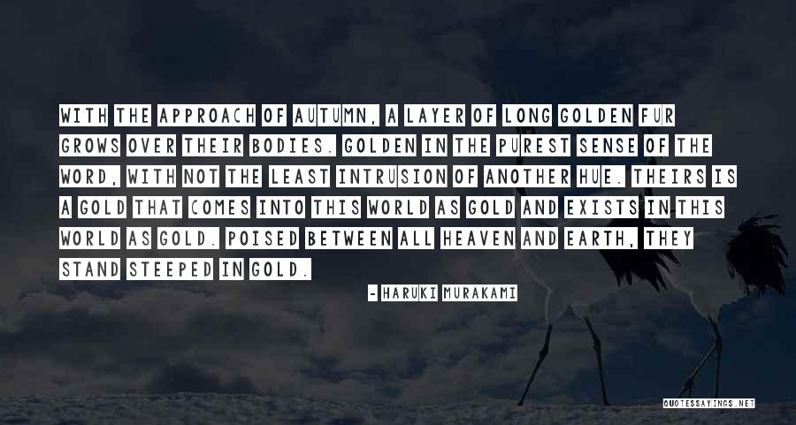 Blaithin Quotes By Haruki Murakami Blaithin Quotes By Haruki Murakami