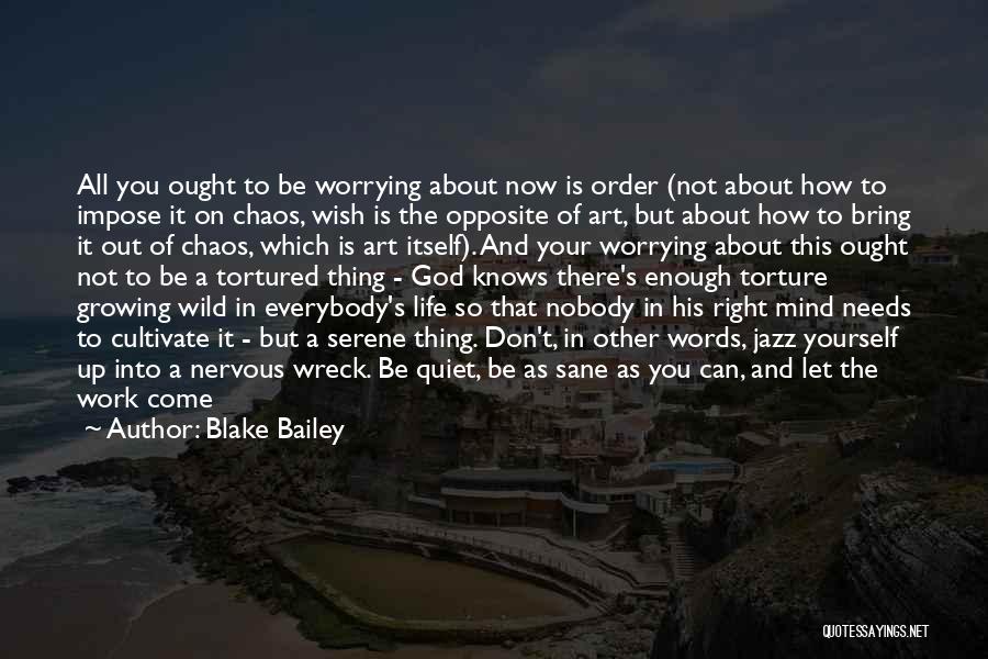 Blake Bailey Quotes 211054
