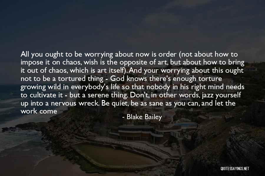 Blake Bailey Quotes 211054