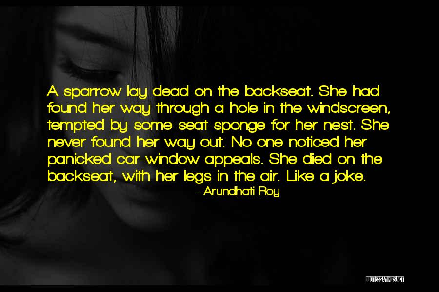 Blake Fielder-civil Quotes By Arundhati Roy Blake Fielder-civil Quotes By Arundhati Roy
