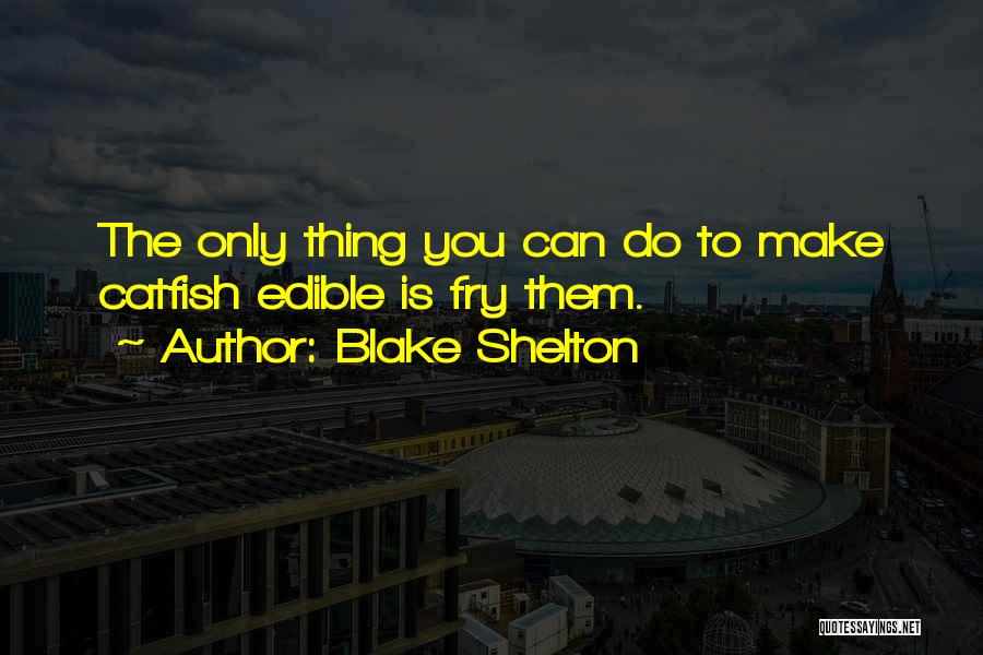 Blake Shelton Quotes 801306